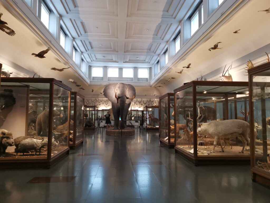 Suède-France : 6 différences