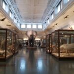 Suède-France : 6 différences